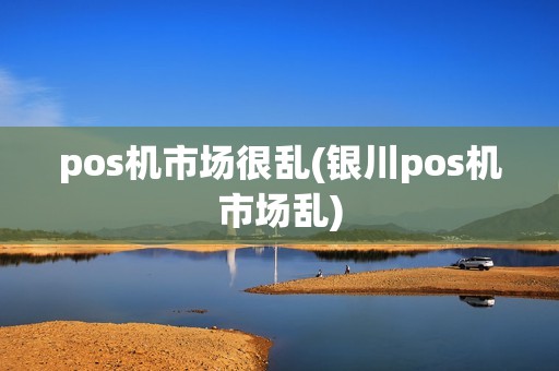 pos机市场很乱(银川pos机市场乱)