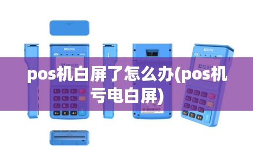 pos机白屏了怎么办(pos机亏电白屏)
