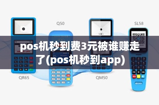 pos机秒到费3元被谁赚走了(pos机秒到app)