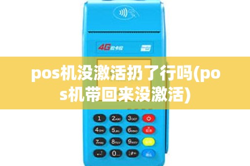 pos机没激活扔了行吗(pos机带回来没激活)