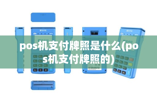 pos机支付牌照是什么(pos机支付牌照的)