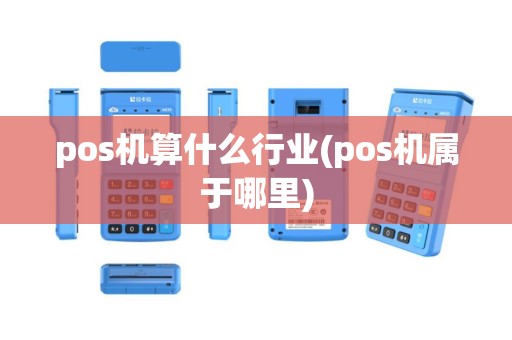 pos机算什么行业(pos机属于哪里)