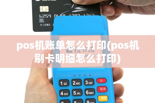 pos机账单怎么打印(pos机刷卡明细怎么打印)