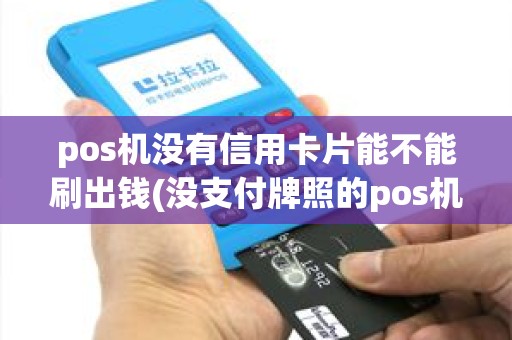 pos机没有信用卡片能不能刷出钱(没支付牌照的pos机)