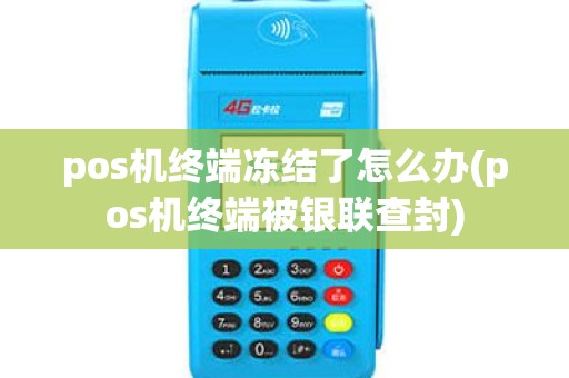 pos机终端冻结了怎么办(pos机终端被银联查封)