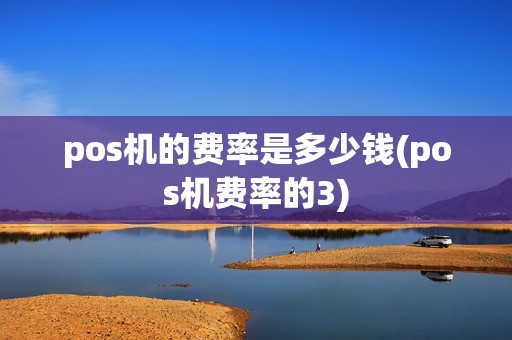 pos机的费率是多少钱(pos机费率的3)
