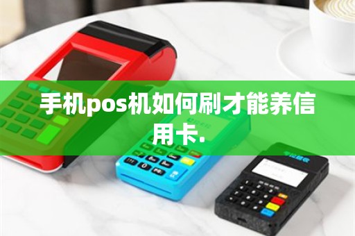 手机pos机如何刷才能养信用卡.