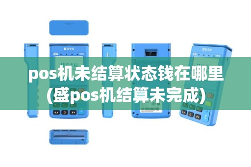 pos机未结算状态钱在哪里(盛pos机结算未完成)