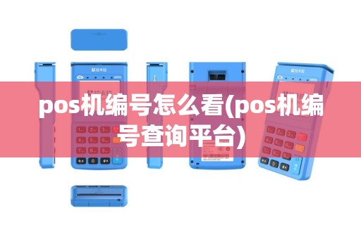 pos机编号怎么看(pos机编号查询平台)
