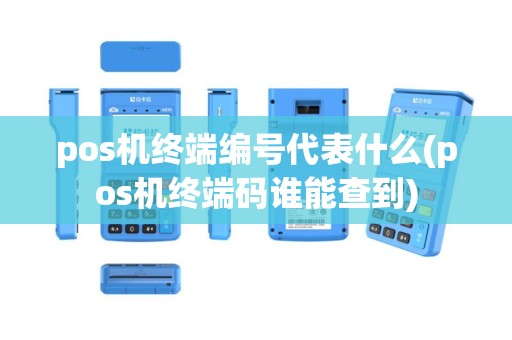 pos机终端编号代表什么(pos机终端码谁能查到)