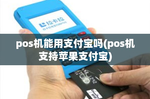 pos机能用支付宝吗(pos机支持苹果支付宝)
