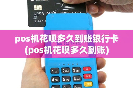 pos机花呗多久到账银行卡(pos机花呗多久到账)