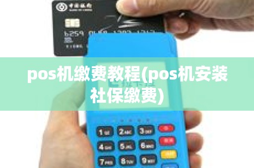 pos机缴费教程(pos机安装社保缴费)