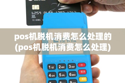 pos机脱机消费怎么处理的(pos机脱机消费怎么处理)