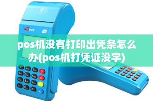 pos机没有打印出凭条怎么办(pos机打凭证没字)