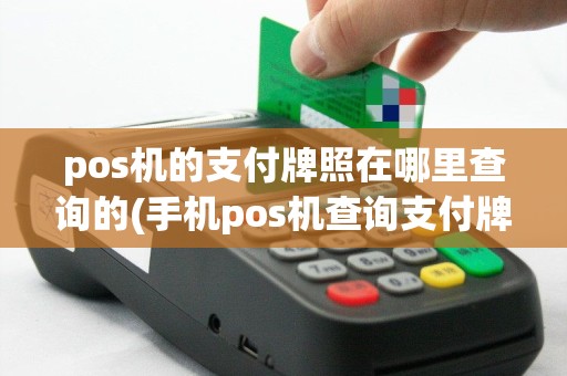 pos机的支付牌照在哪里查询的(手机pos机查询支付牌照)