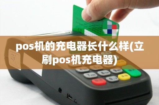 pos机的充电器长什么样(立刷pos机充电器)