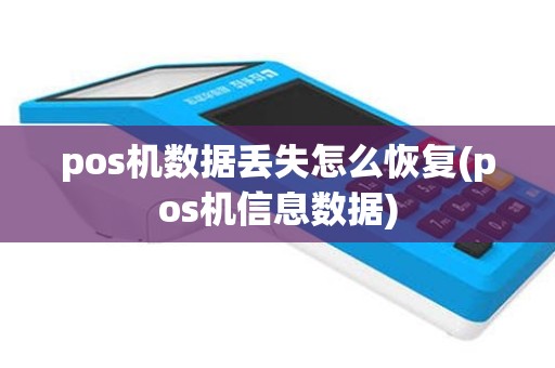 pos机数据丢失怎么恢复(pos机信息数据)