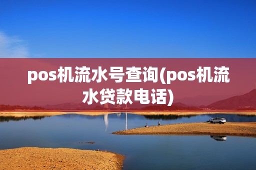 pos机流水号查询(pos机流水贷款电话)