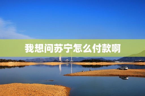 我想问苏宁怎么付款啊
