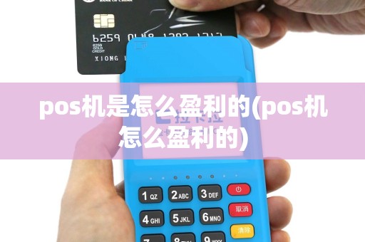 pos机是怎么盈利的(pos机怎么盈利的)