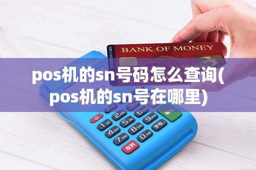 pos机的sn号码怎么查询(pos机的sn号在哪里)