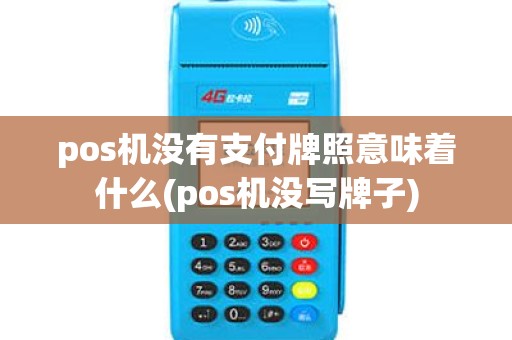 pos机没有支付牌照意味着什么(pos机没写牌子)