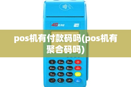pos机有付款码吗(pos机有聚合码吗)