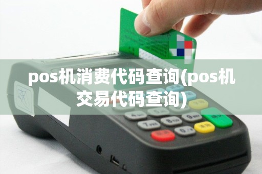 pos机消费代码查询(pos机交易代码查询)