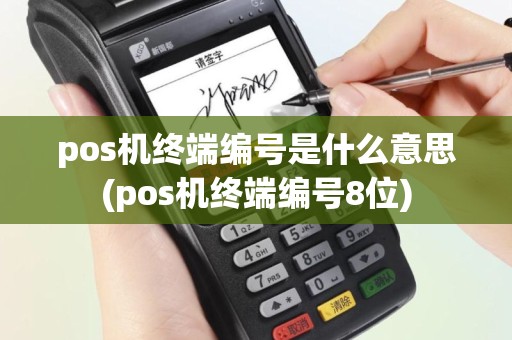 pos机终端编号是什么意思(pos机终端编号8位)