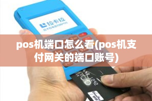 pos机端口怎么看(pos机支付网关的端口账号)