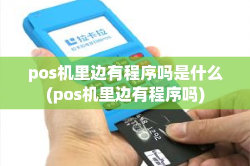 pos机里边有程序吗是什么(pos机里边有程序吗)