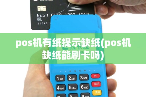 pos机有纸提示缺纸(pos机缺纸能刷卡吗)