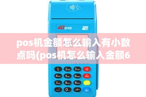 pos机金额怎么输入有小数点吗(pos机怎么输入金额6)