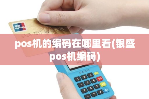 pos机的编码在哪里看(银盛pos机编码)