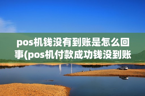 pos机钱没有到账是怎么回事(pos机付款成功钱没到账)