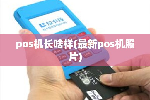 pos机长啥样(最新pos机照片)