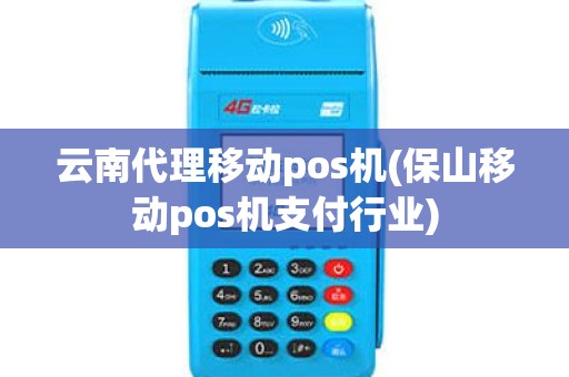 云南代理移动pos机(保山移动pos机支付行业)