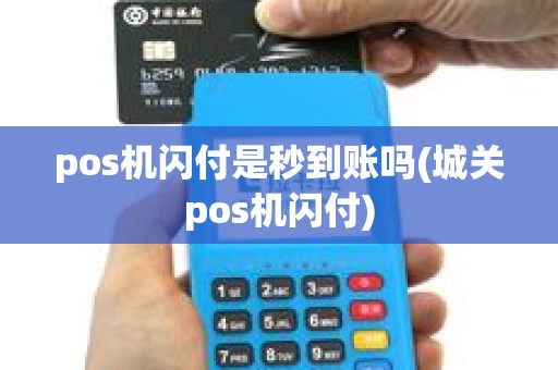 pos机闪付是秒到账吗(城关pos机闪付)