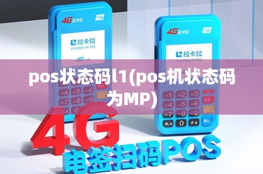 pos状态码l1(pos机状态码为MP)