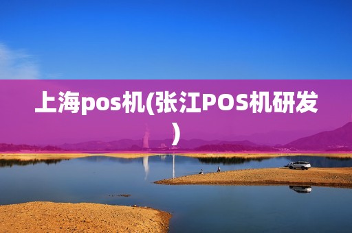 上海pos机(张江POS机研发)