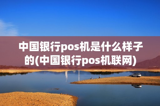 中国银行pos机是什么样子的(中国银行pos机联网)