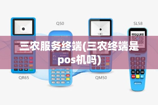 三农服务终端(三农终端是pos机吗)