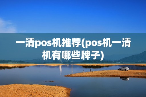 一清pos机推荐(pos机一清机有哪些牌子)