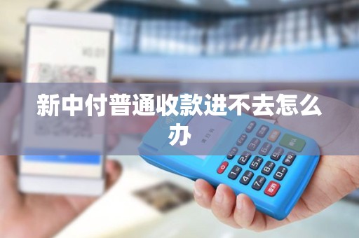 新中付普通收款进不去怎么办