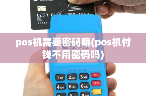 pos机需要密码嘛(pos机付钱不用密码吗)