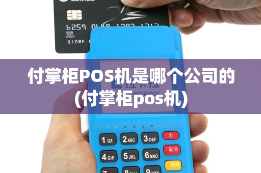 付掌柜POS机是哪个公司的(付掌柜pos机)