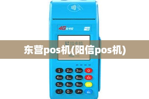 东营pos机(阳信pos机)