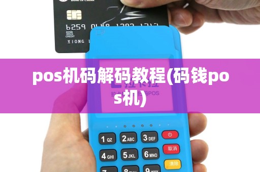 pos机码解码教程(码钱pos机)