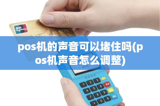 pos机的声音可以堵住吗(pos机声音怎么调整)